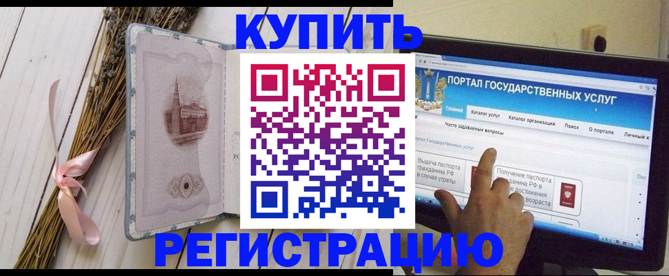 прописка поиск в Шали